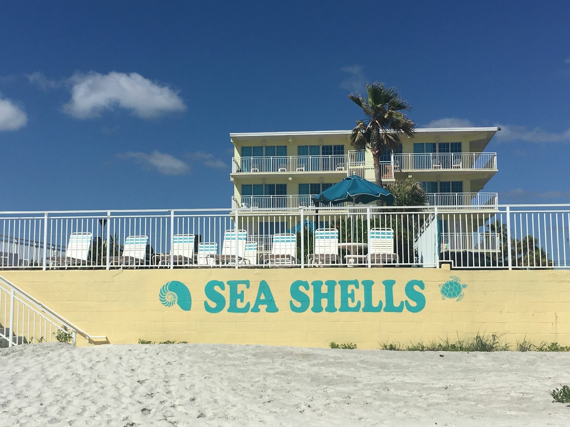 Sea Shells Beach Club Дейтона-Біч Екстер'єр фото